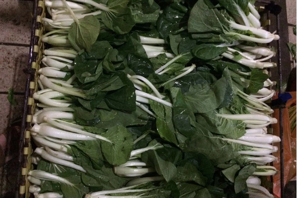 佛山農(nóng)產(chǎn)品配送 佛山農(nóng)產(chǎn)品配送