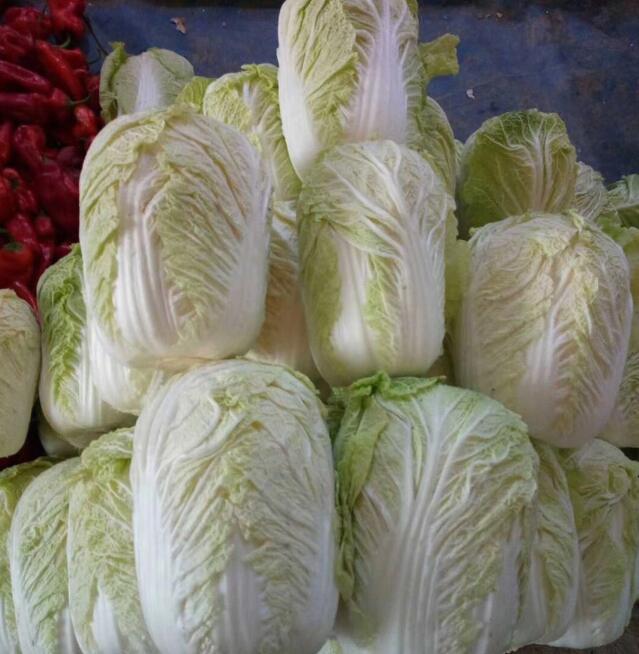 學校食堂蔬菜配送